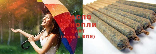 индика Наволоки