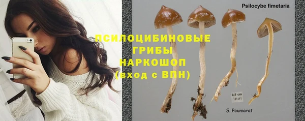 Альфа ПВП Алексеевка