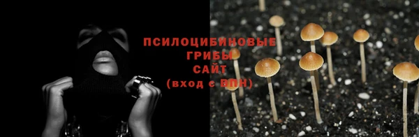 прущая мука Алексин