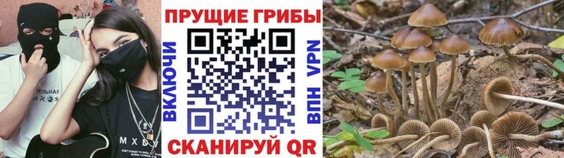 Галлюциногенные грибы Magic Shrooms  KRAKEN tor  Фролово 